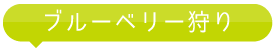 ブリーベリー狩り

