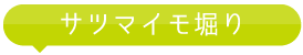 サツマイモ堀り

