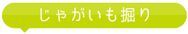 じゃがいも堀り
